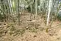 前方部から後円部を望む