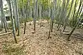 後円部から前方部を望む