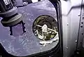 捕獲を試みるツート