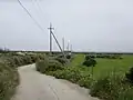 牧草地が広がる粟国島内