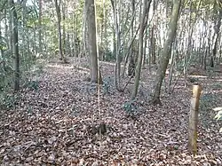 本丸(主郭)