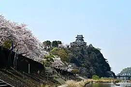 木曽川沿いの犬山城と桜並木
