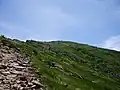 夏沢峠方面から望む硫黄岳（2008年8月）