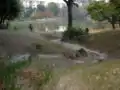 曲水