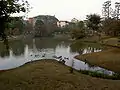 全景