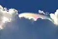 太陽の光を受けて虹色に光る彩雲となった頭巾雲