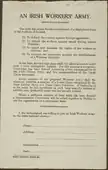 アイルランド市民軍の採用応募文書