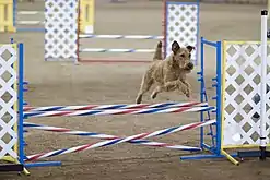 見事な飛躍の中で