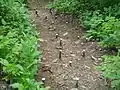 登山道中の露出した鉄杭