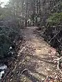 左が中垣内川へ注ぐ水路右側が唐猫谷