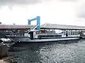 サザンパラダイス（石垣港）