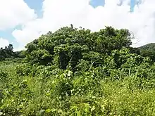 あまたりや潮荒