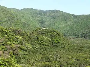 中心にあるのが展望台(櫓跡)
