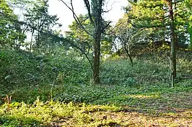 小枝山5号墳(石馬谷古墳)