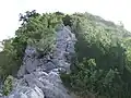 登山道の中盤