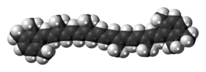 Space-filling model{{{画像alt1}}}