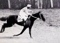 1951年、「尾形流」のフォーム