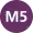 M5