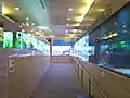 ミニ水族館