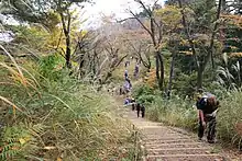 西稜の登山道