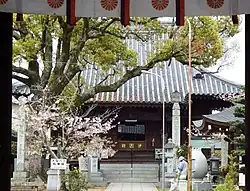 本堂