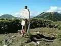 山頂標