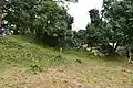 大鳥居口付近の土塁・石塁