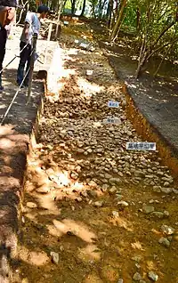 京都府向日市五塚原古墳の遺構面(後円部段築と葺石)。