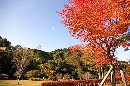 岩出山城外観