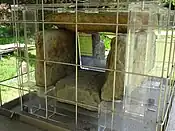 発掘された岩樋