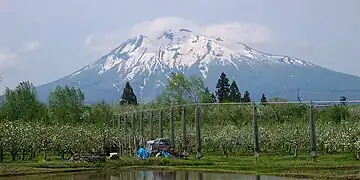 春のリンゴ畑と岩木山(弘前市小沢付近)
