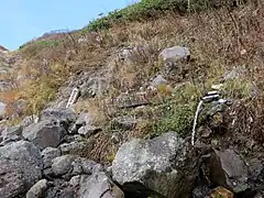 錫杖清水