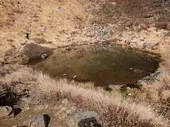 種蒔苗代
