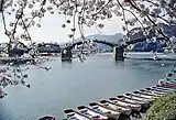 錦帯橋と桜