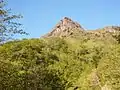 県道40号の寺川より