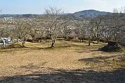 岩脇古墳からの展望。木々の向こう側が江の川。