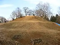龍角寺岩屋古墳