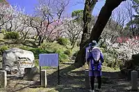 梅苑