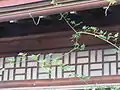 遊郭らしい装飾窓。