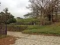 全景