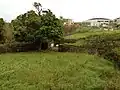 墓庭