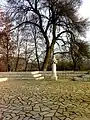 White-legged Girl's Spring