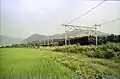 EF15牽引の貨物列車(1978年、越後中里駅駅 - 岩原スキー場前駅間)