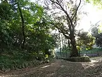 浄水緑地
