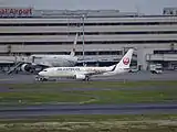 JALハピネスエクスプレスB737-800(JA339J)