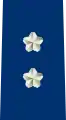 航空自衛隊　将補（乙）階級章