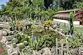 リオデジャネイロ植物園のサボテン(リオデジャネイロ)