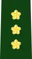 陸上自衛隊 将（乙階級章）