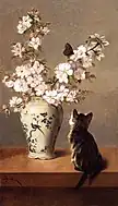 蝶