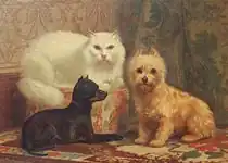 ペルシャ猫と2匹の犬
